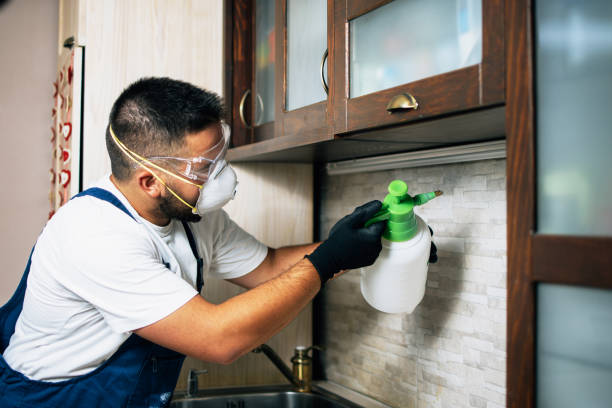 Best Pest Prevention Services  in Douglasville, GA