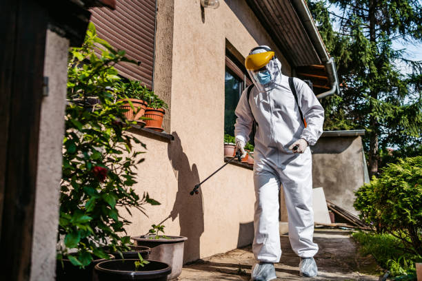 Best Emergency Pest Control  in Douglasville, GA