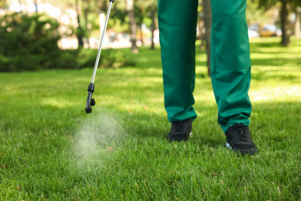 Pest Prevention Services in Douglasville, GA