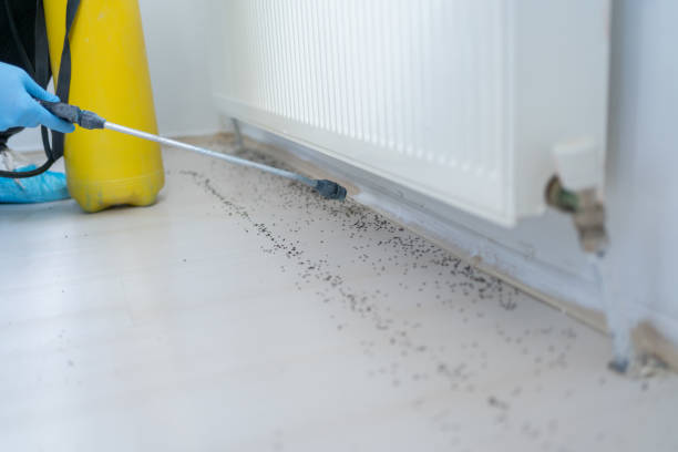 Best Exterminator Services  in Douglasville, GA